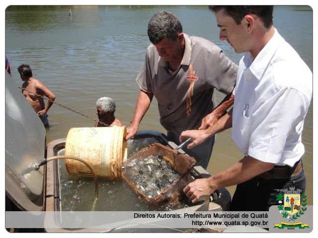 Notícia 14 mil novos peixes no Balneário de Quatá