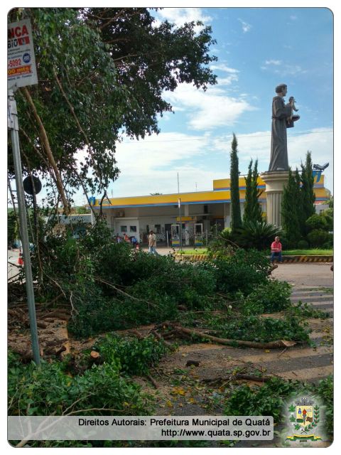 Notícia Prefeitura realiza poda das árvores na Praça da Rotatória do Santo Antônio