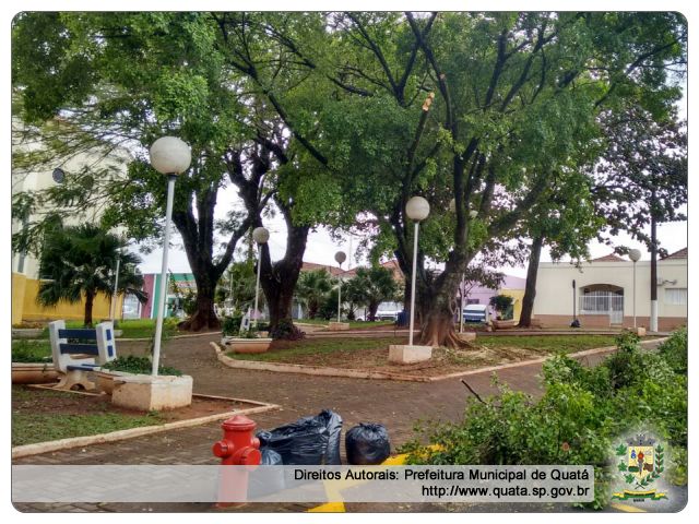 Notícia Prefeitura realiza poda das árvores na Praça da Igreja Matriz