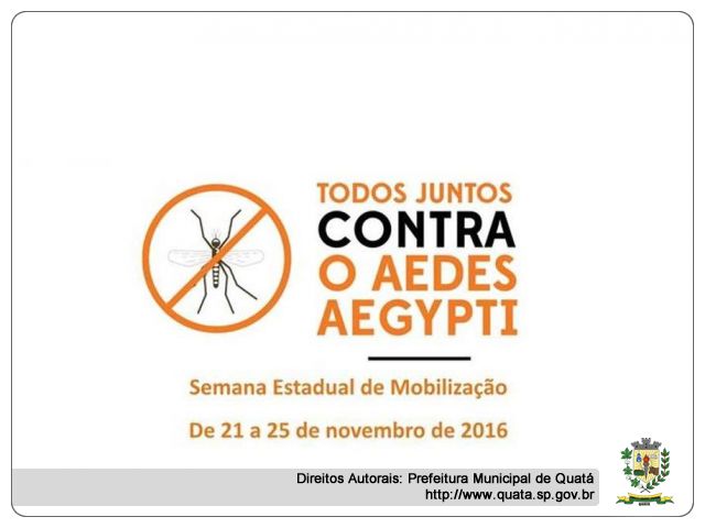 Notícia Todos juntos contra o Aedes Aegypti