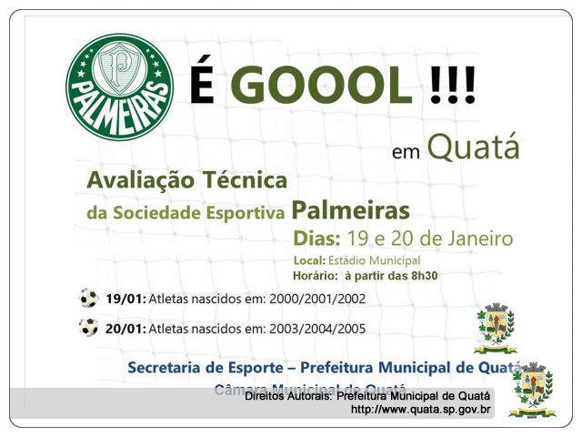 Notícia Avaliação Técnica da Sociedade Esportiva Palmeiras