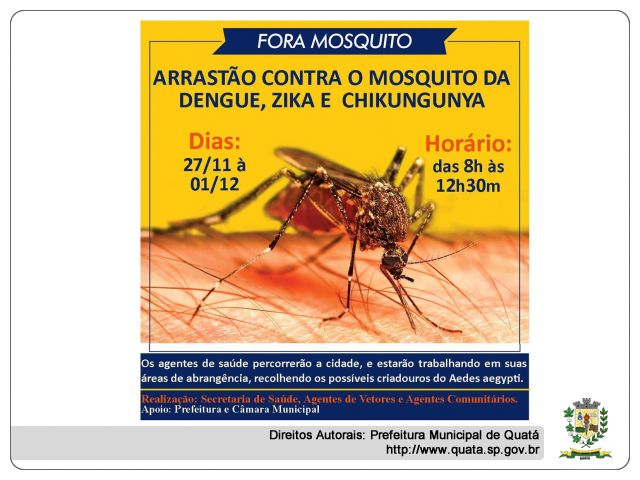 Notícia Arrastão contra o mosquito da Dengue, Zika e  Chikungunya