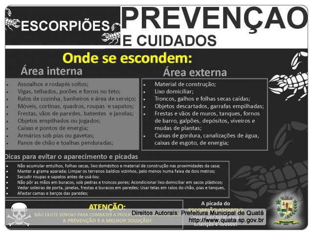 Notícia Vamos acabar com a proliferação dos escorpiões!