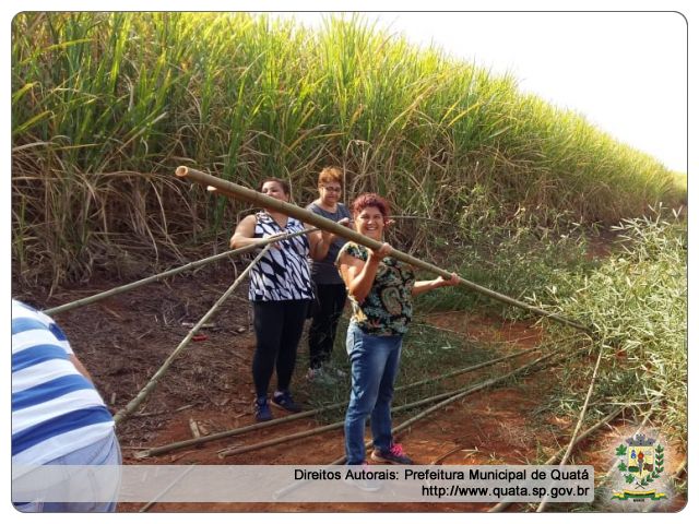 Notícia Cursos de Móveis em Bambu   