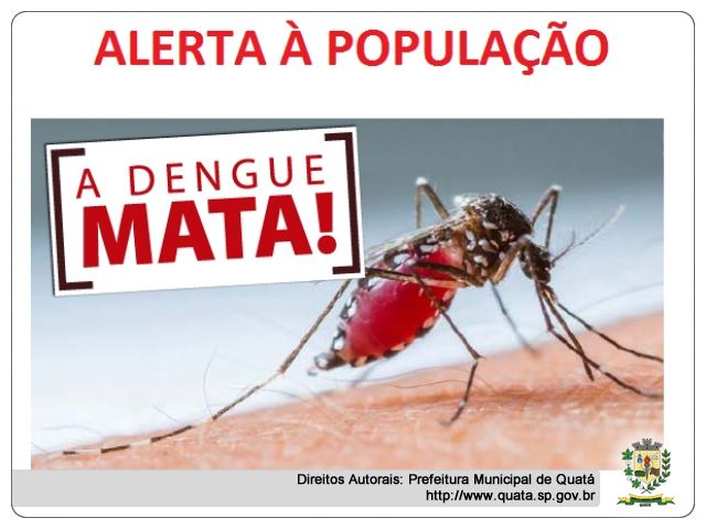 Notícia ALERTA CONTRA A DENGUE