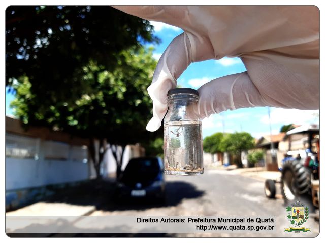 Notícia Arrastão emergencial contra a Dengue