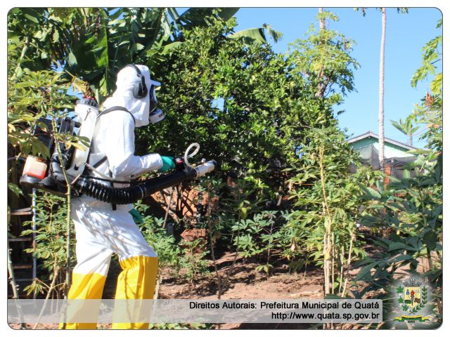 Notícia DENGUE: Saúde volta a fazer nebulização