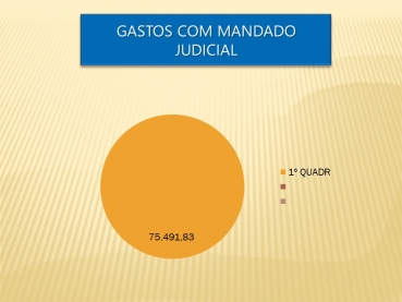 Foto 57: Audiência Pública da Saúde - 28 de Maio de 2020