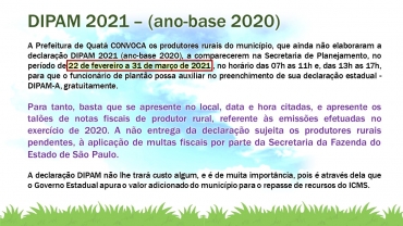 Foto 1: Dipam 2021 - (ano base 2020)