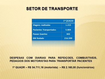 Foto 65: Audiência Pública da Saúde - 28 de Maio de 2020