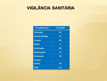 Foto 50: Audiência Pública da Saúde - 28 de Maio de 2020