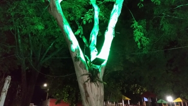 Foto 16: Praça do Natal é inaugurada em Quatá