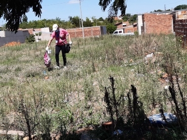 Foto 33: Segunda fase do Arrastão da Dengue vai até dia 03/12