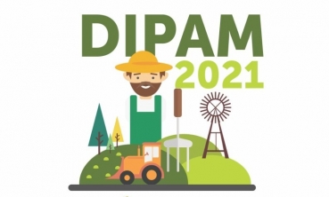 Notícia Dipam 2021 - (ano base 2020)