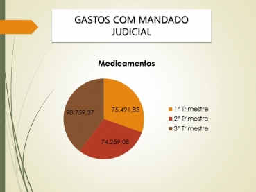 Foto 55: Audiência Pública da Saúde: 3º Quadrimestre