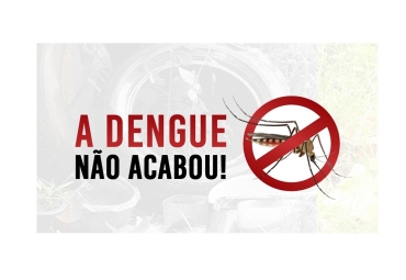 Notícia A dengue não acabou. O mosquito vive! E o aedes aegypti continua em ação...