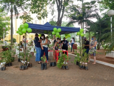 Foto 8: Comemoração ao Dia da Árvore. A favor da saúde. Em respeito ao Meio Ambiente!