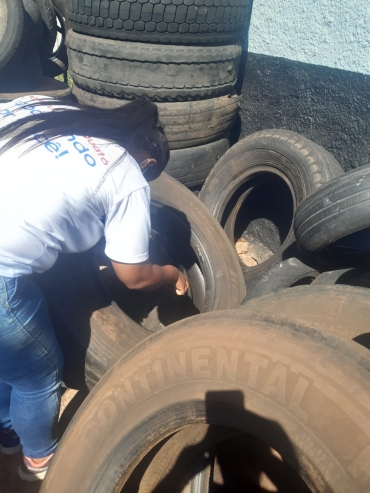 Foto 16: Saúde realiza mais um arrastão e recolhe dezenas de recipientes que acumulam água