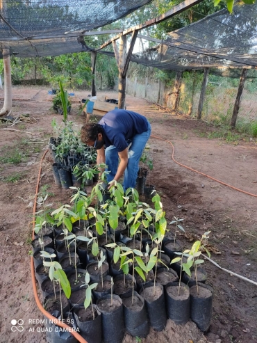 Foto 3: Ações da Secretaria de Agricultura e Meio Ambiente