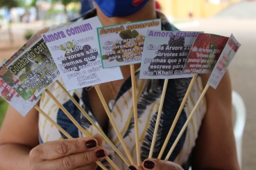 Foto 30: Comemoração ao Dia da Árvore. A favor da saúde. Em respeito ao Meio Ambiente!