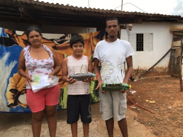 Foto 26: Atividade remota: CRAS entrega horta em garrafa pet