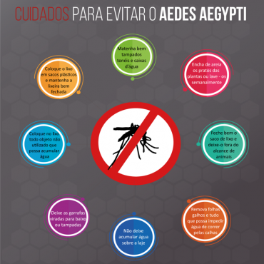 Foto 1: A dengue não acabou. O mosquito vive! E o aedes aegypti continua em ação...
