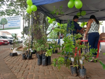 Foto 19: Comemoração ao Dia da Árvore. A favor da saúde. Em respeito ao Meio Ambiente!