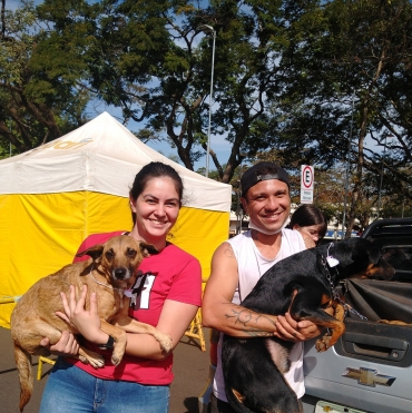 Foto 17: Castramóvel realiza castração de 210 pets gratuitamente em Quatá