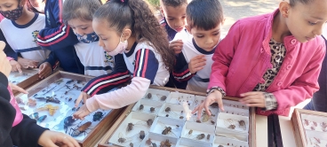 Foto 52: Quatá promove primeira Feira de Biodiversidade
