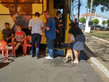 Foto 8: Castramóvel realiza castração de 210 pets gratuitamente em Quatá