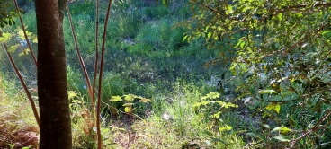 Foto 25: Ação de Educação Ambiental marca o Dia Mundial da Água em Quatá