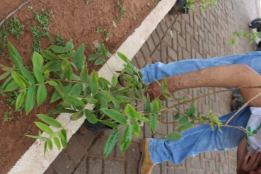 Foto 30: Relatório de serviços prestados pela Secretaria de Agricultura e Meio Ambiente em 2021