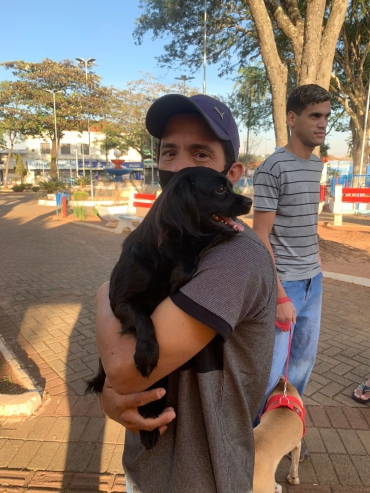 Foto 19: Castramóvel realiza castração de 210 pets gratuitamente em Quatá
