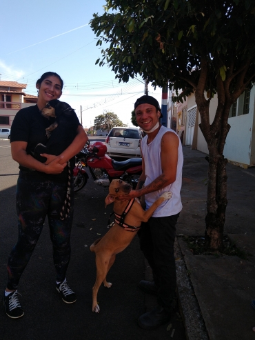 Foto 3: Castramóvel realiza castração de 210 pets gratuitamente em Quatá