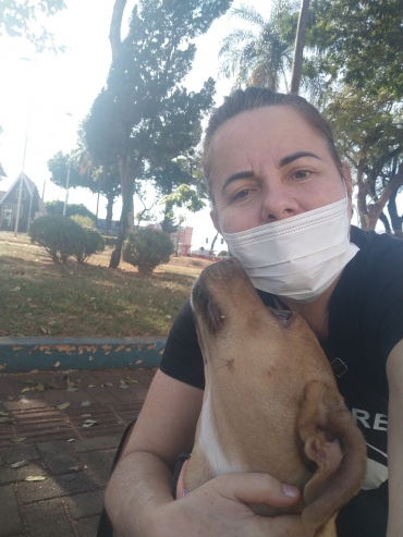Foto 1: Castramóvel realiza castração de 210 pets gratuitamente em Quatá