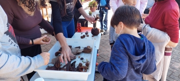 Foto 39: Quatá promove primeira Feira de Biodiversidade