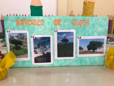 Foto 6: Concurso: 