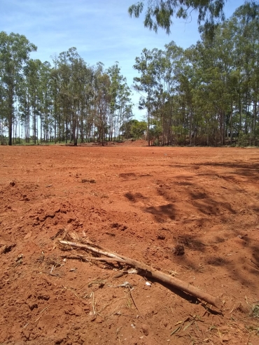 Foto 1: Relatório de serviços prestados pela Secretaria de Agricultura e Meio Ambiente em 2021