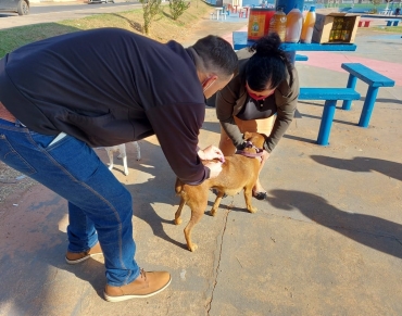 Foto 38: Campanha de Vacinação Antirrábica para cachorros e gatos