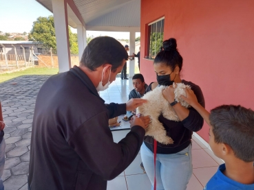 Foto 37: Campanha de Vacinação Antirrábica para cachorros e gatos