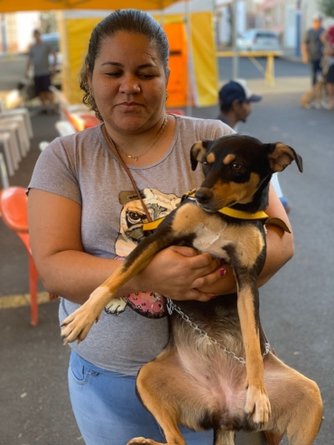 Foto 21: Castramóvel realiza castração de 210 pets gratuitamente em Quatá