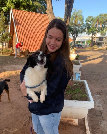 Foto 25: Castramóvel realiza castração de 210 pets gratuitamente em Quatá