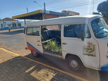 Foto 8: Encerramento do Curso de Jardinagem