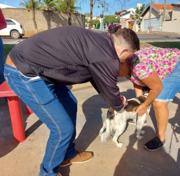 Foto 10: Campanha de Vacinação Antirrábica para cachorros e gatos