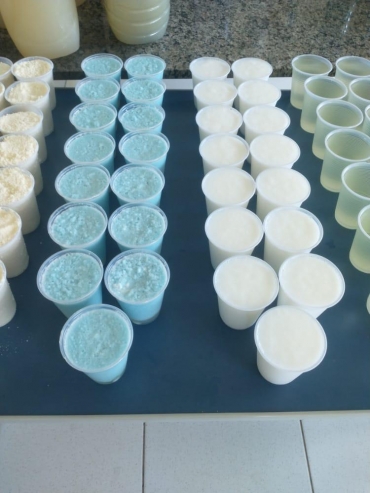 Foto 6: Higiene e Limpeza: curso visa preparo e preservação de material de limpeza