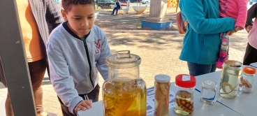 Foto 51: Quatá promove primeira Feira de Biodiversidade