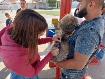 Foto 43: Campanha de Vacinação Antirrábica para cachorros e gatos