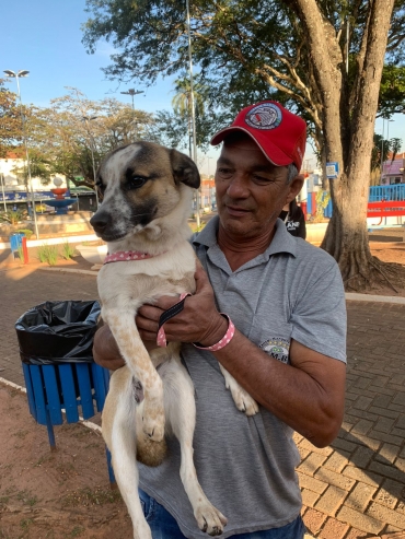 Foto 20: Castramóvel realiza castração de 210 pets gratuitamente em Quatá