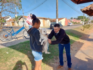 Foto 7: Campanha de Vacinação Antirrábica para cachorros e gatos