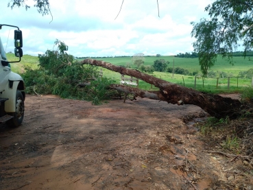 Foto 8: ZONA RURAL: ações e manutenções da Secretaria de Agricultura e Meio Ambiente 